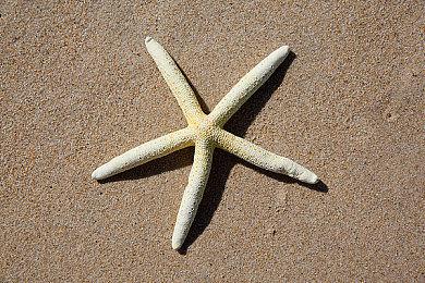 科乐美回应《寂静岭2》和《合金装备3》今年发售：等待后续公告